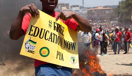 #FeesMustFall activist’s pardon intervention ‘not a novel idea’, says Lamola