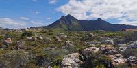 Kleinmond walk.
