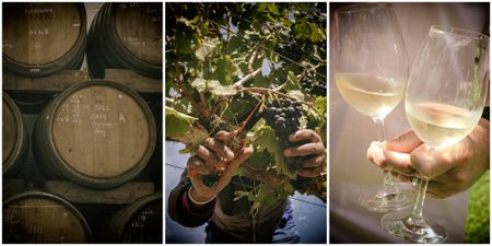 United we stand – SA Wine will now drive country’s multibillion-rand industry