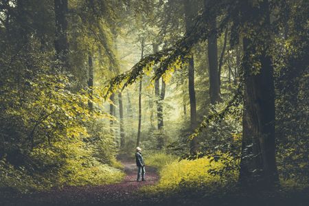 Strengthening the case for responsible investing – lessons from Covid-19