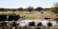 Papkuilsfontein, Nieuwoudtville in the Northern Cape, was declared a Protected Environment as it is of high conservation and ecological value. (Photo: Kristin Engel)