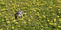 Spring is upon us.