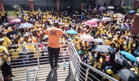 EFF breakaway party Team Sugar SA enjoys the taste of sweet success in northern KwaZulu-Natal