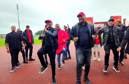 Moneybags Malema promises NMB free water and electricity, and bigger RDP houses