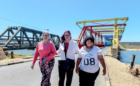 Feisty Nelson Mandela Bay tannies take on truckers to save 'Smartie Bridge'