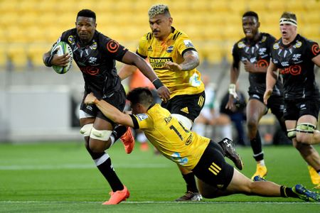 Sharks show the value of true transformation