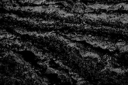 Five missing after ‘mud rush’ incident at Implats’ Rustenburg mine