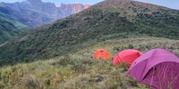 The first soft rays of morning. Photo: Marietjie Louw<br> <br>