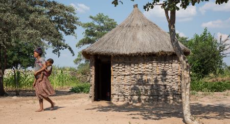 San lands 'invaded' by cattle in Namibia
