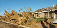 Fallen trees next to a storm-damaged home in Sandfield, Tongaat. (Photo: Tony Carnie)