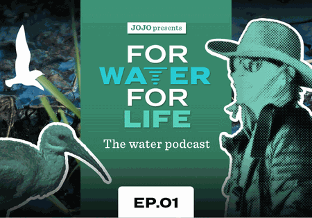 Cleaning Up Cape Town’s Water Canals