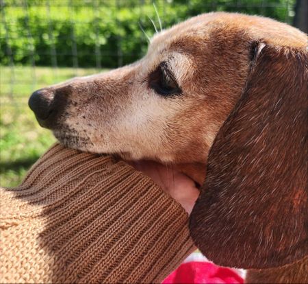 I have a picture for you! 05 April-11 April 2025