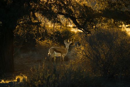 I have a picture for you! 16 August-22 August 2025