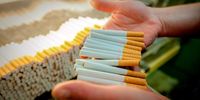 British American Tobacco stubs Heidelberg plant as illicit smokes snuff 230 jobs