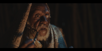 Chris April who plays the village elder named Obara in '8'