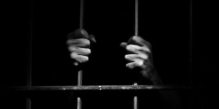 Eight life sentences for rapist initially released due to DNA delays