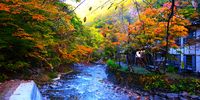 Autumn colours at Aoni Onsen. Photographer: David Hammond Bass