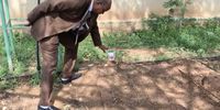 Somaliland’s director-general of agriculture, Dr Ahmed Ali Mah, at an experiment with irrigation at the department in Hargeisa. Picture: Ray Hartley