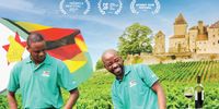 Official poster for 'Blind Ambition': Left to right: Tongai Joseph Dhafana, Marlvin Gwese, Pardon Tagazu, Tinashe Nyamudoka. Image: courtesy of Universal Pictures