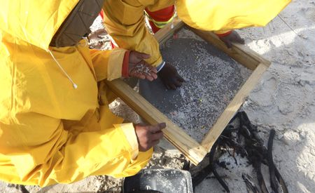 With microplastics now being found in human blood, nurdle pollution must be tackled