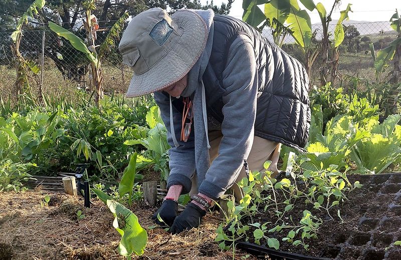 A working farm holiday in the time of agritourism