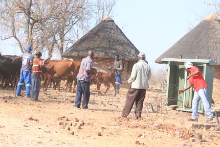 Kruger National Park - Call for fences to be reconstructed amid rising tensions after predators kill cattle
