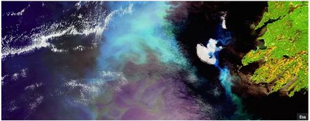 Warmer water and more carbon dioxide are sending phytoplankton into overdrive - study