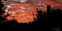 Autumn sunrise on the Highveld. Image: Ernst Marais