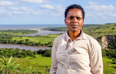 Makhanda High Court orders immediate halt to illegal Wild Coast building