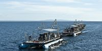 Kapenta rigs on the way to night fishing. Image: Don Pinnock