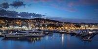 Palma marina. Photographer: David Reucassel