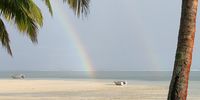 Evening rainbow. Photographer:  Robert Edwards</p>
<p>P4U_readersubmission_20250509