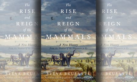 We are creatures of coal — an evolutionary tale dripping with irony