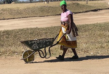 Beyond oblivion: critical trade-offs necessary to balance biodiversity and community needs in South Africa