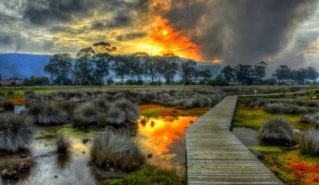 Inside the Knysna inferno: Smoke on The Water – what to save when you are about to lose it all