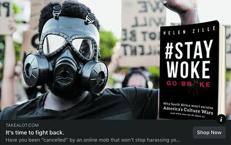 The Zoom leaks: Helen Zille goes for broke