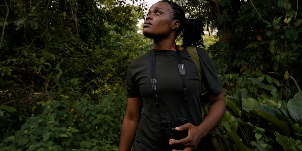 %%page%% Nigeria conservationist in race to save rare chimps, monkeys