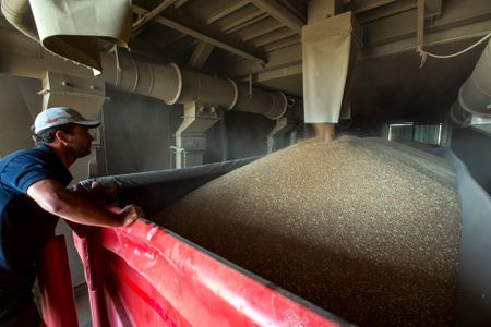 Buffer stocks can help protect poor South Africans against food price shocks, say economic researchers