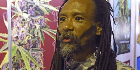 Dagga legislation: What were they smoking?