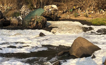 Africa should consider criminalising ecocide at continental and regional levels