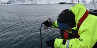 Scientist Jana Winderen recording the sounds of  bearded seals in the Barents Sea. (Photo: Helmer Hanssen)