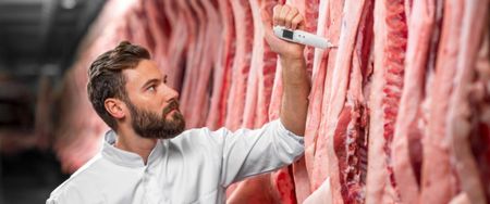 Sick animals do not make for safe food