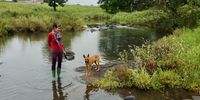 Nikki Brighton and her dog, Beans, on a sunrise uMngeni River foraging walk. (Photo: Paul Van Uytrecht)