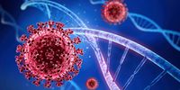 An analysis of Discovery Medical Scheme data has found that members who had Covid-19 had a significant increase in hospitalisation for the 12 months after they first fell ill. (Photo: news-medical.net / Wikipedia)