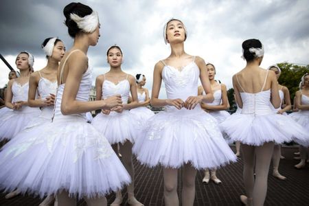 'The Greatest Swan Lake in the World' show, and more from around the world