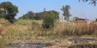 A residential stand on a wetland space cleared for construction to commence, in Monavale Harare. Picture: Lemuel Chekai