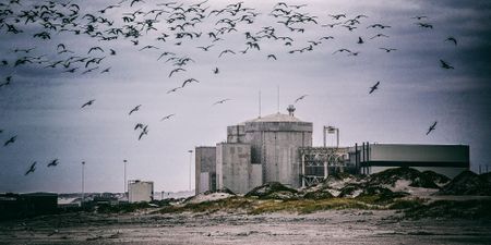 Koeberg Unit 1 can operate until 2044 despite concerns, says nuclear regulator