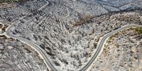 epa09619047 A general view of a road surrounded by burned forests near Moshav Ramat Raziel in Jerusalem hills near Jerusalem, Israel, 19 August 2021. According to Israel's Fire and Rescue Service, over 6,000 acres of brush land and forest were burned in the huge wildfire that spread in Jerusalem hills.  EPA-EFE/ABIR SULTAN