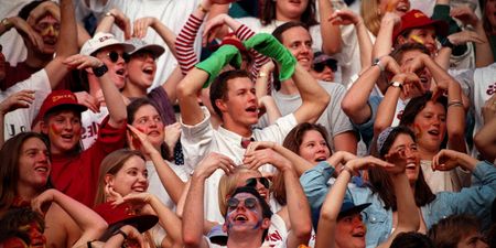 The significance (or not) of our Springbok victory for nation building and democracy — Part Two