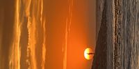 Engulfed in orange. Image: Sarah Larter. 